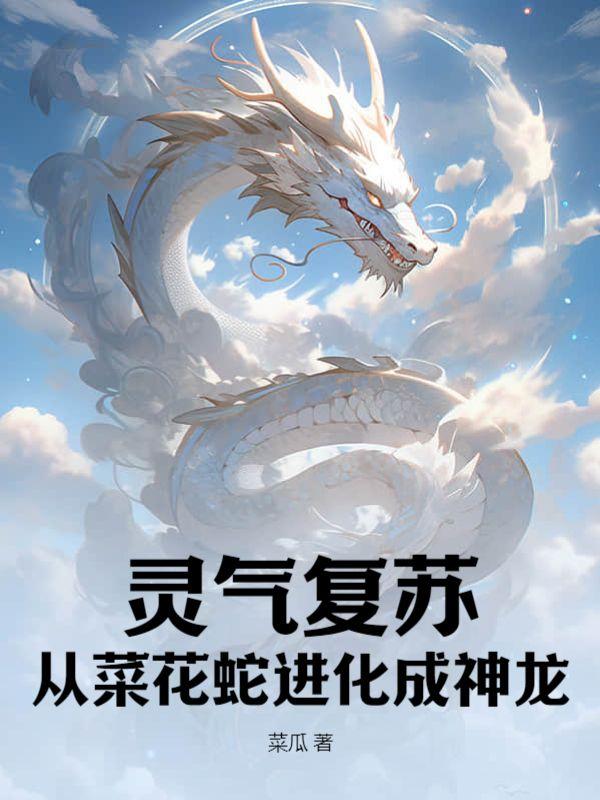 穿成寡妇后我成了京城首富
