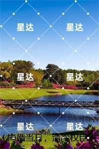 宁芙宗肆