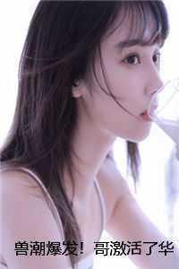 秦枫夏无神